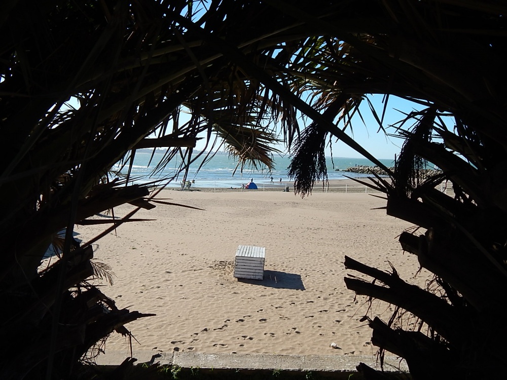 "Pispeando la caja en la playa" de Jos Luis Mansur
