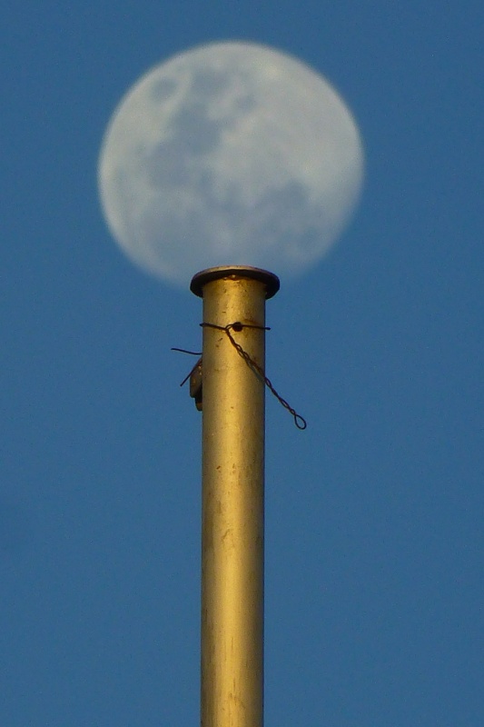 "Luna en pedestal" de Kile Zabala