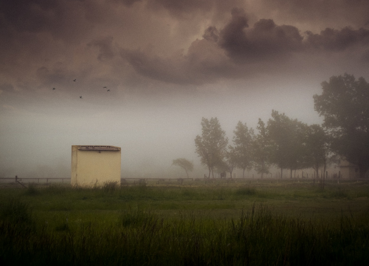 "Niebla y tormenta" de Fernando Valdez Vazquez