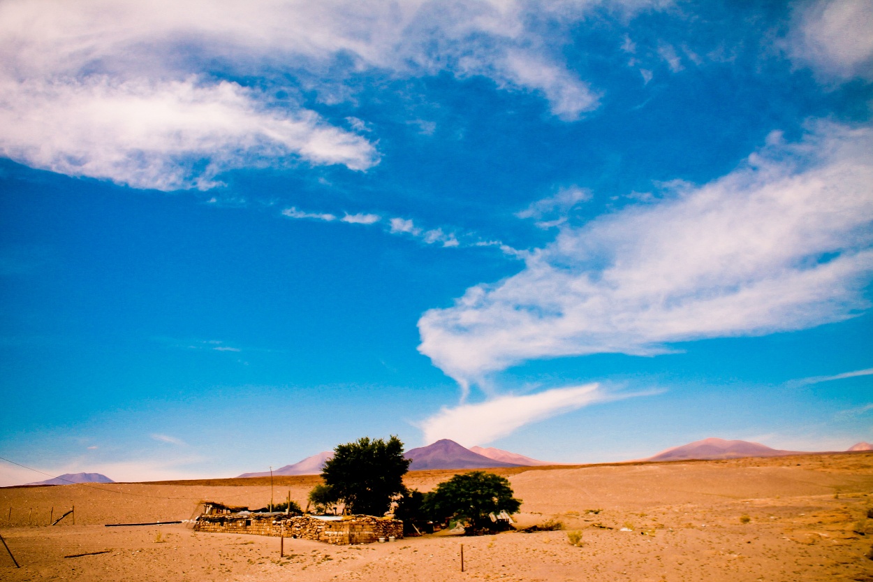 "Oasis en Atacama" de Rodrigo Andrs Godoy