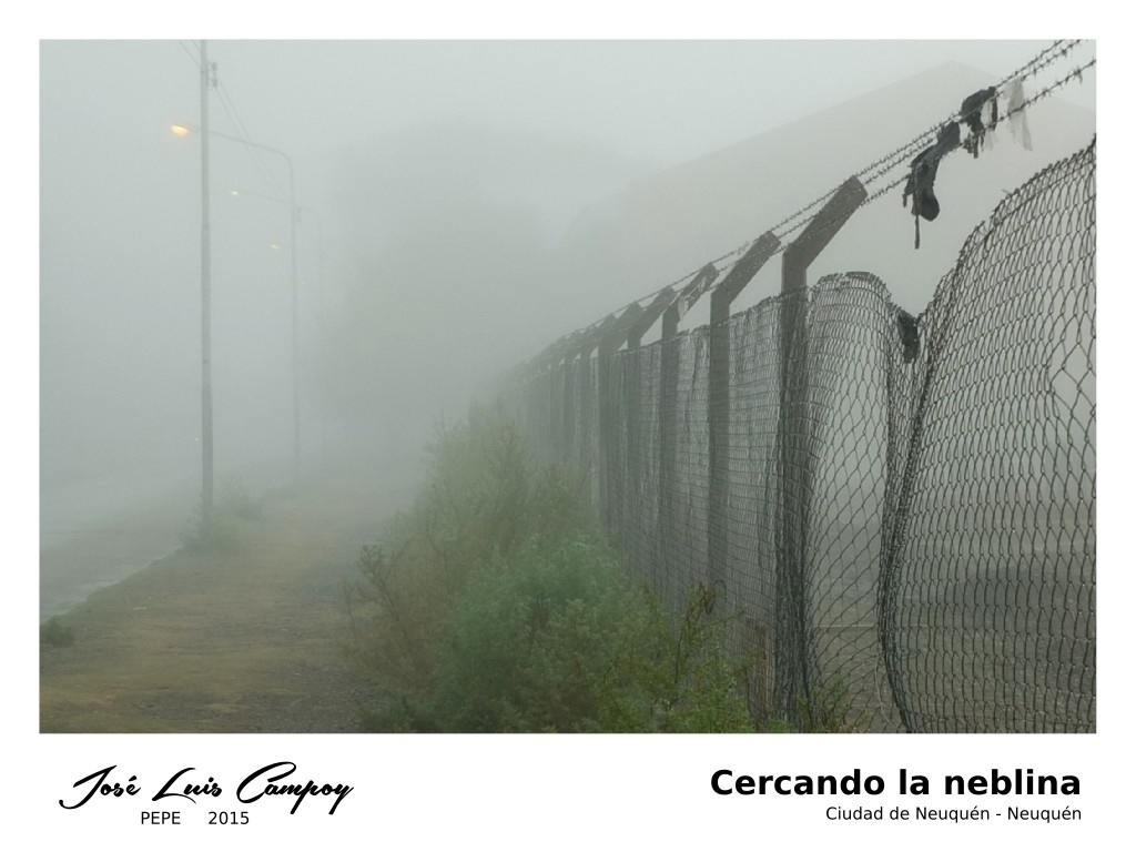 "Cercando la neblina" de Jos Luis Campoy (pepe)