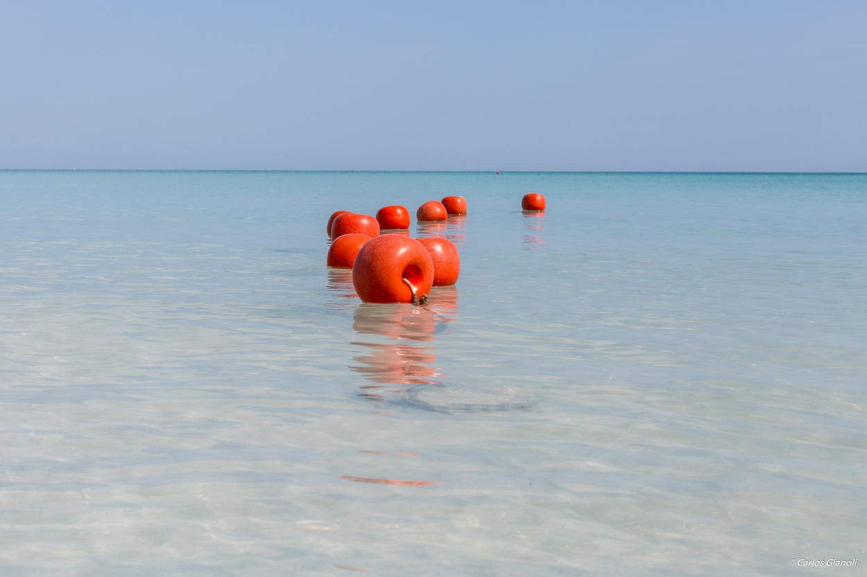 "El mar y el naranja." de Carlos Gianoli