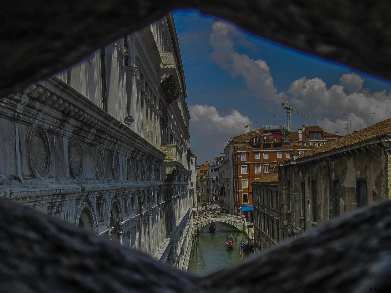 "Venecia" de Roxana Dicianni