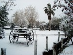 Mendoza nevada...