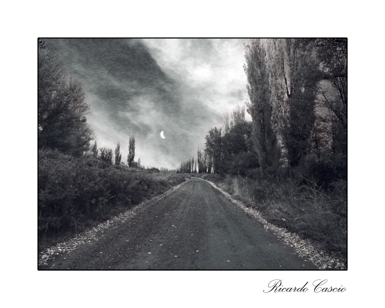 "Camino de las tristezas" de Ricardo Cascio