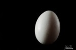 De huevo