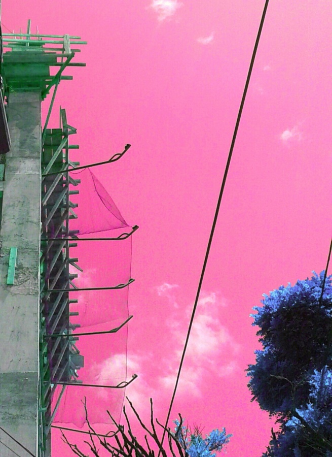 "Mi cielo es rosado" de Isabel Corbera