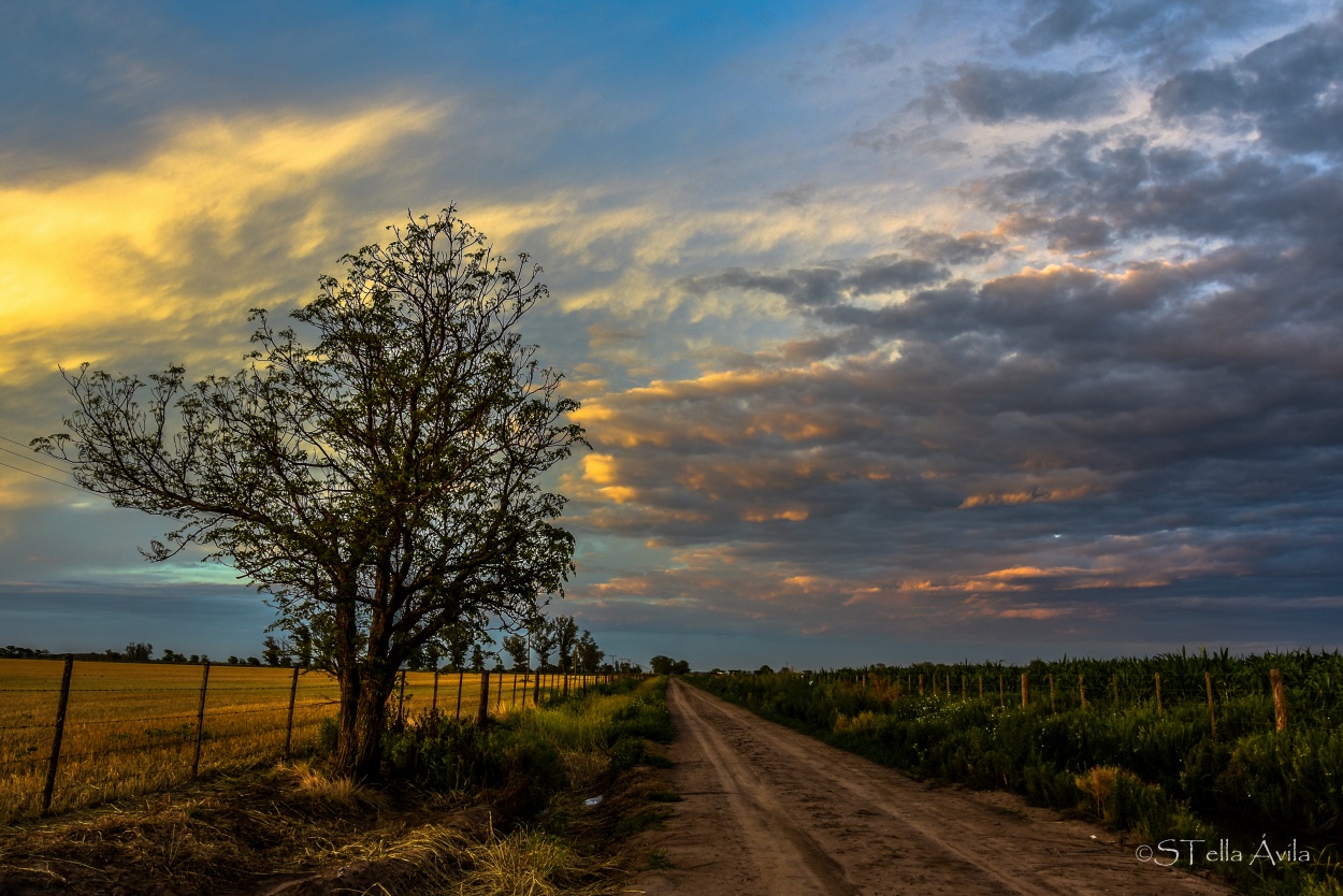 "Camino rural (2)" de Stella Avila