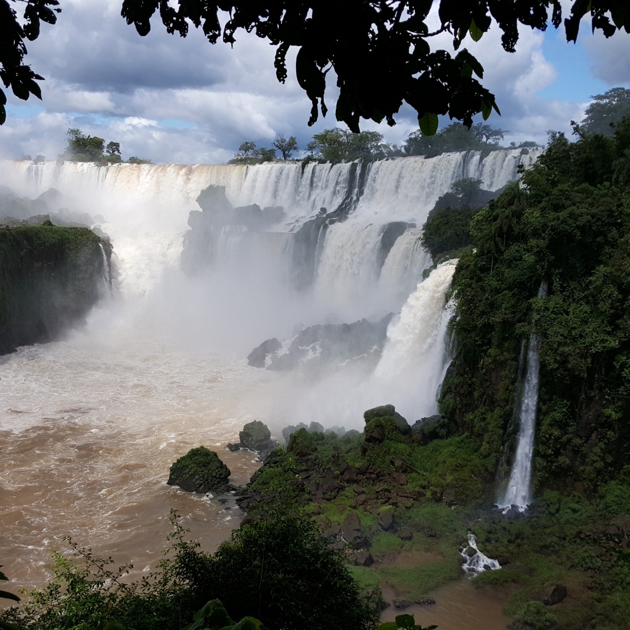 "Parque Nacional Iguaz." de Matias Etchegaray