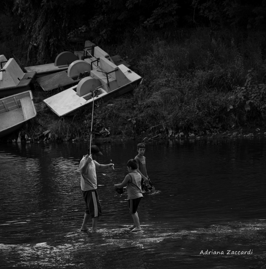 "La Pesca" de Adriana Zaccardi
