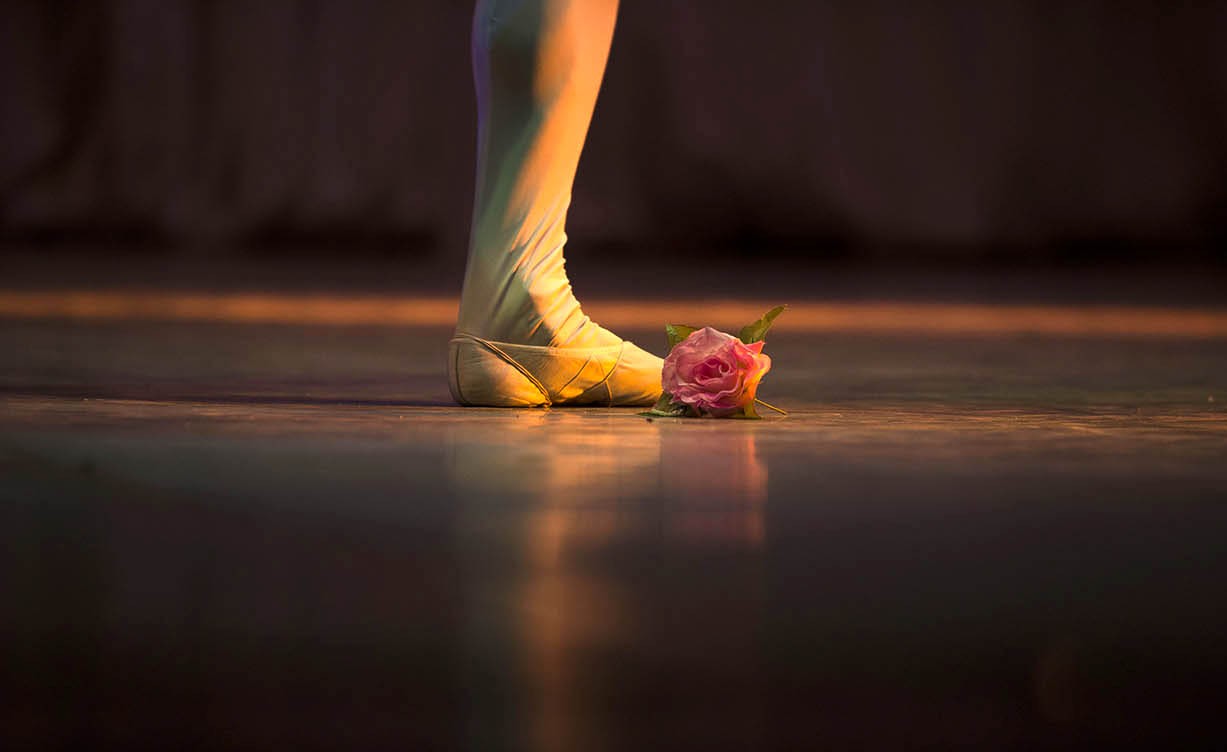 "Una flor en el Ballet" de Jos Merio Cspdes (tito)