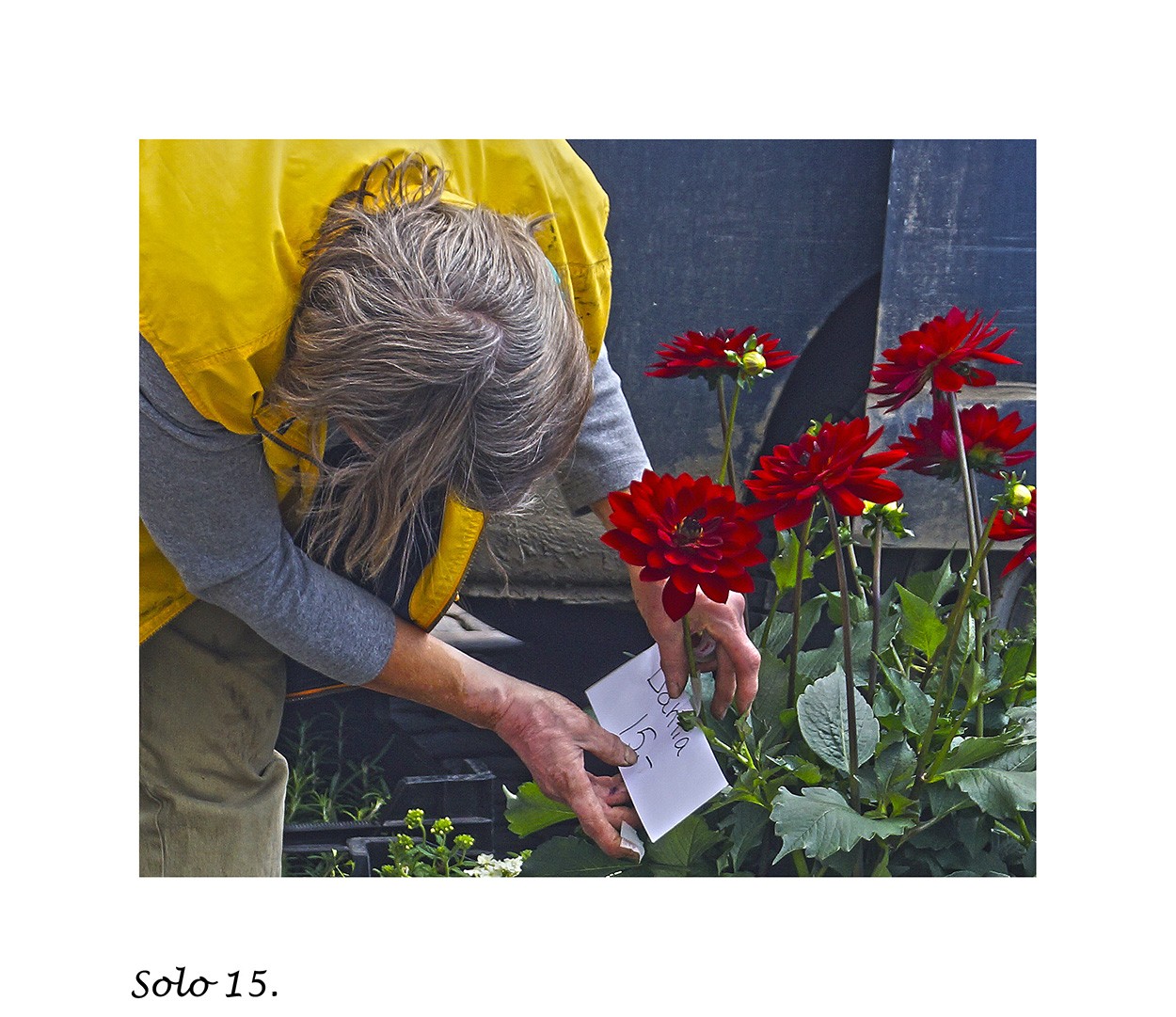 "Solo 15" de Gerardo Saint Martn