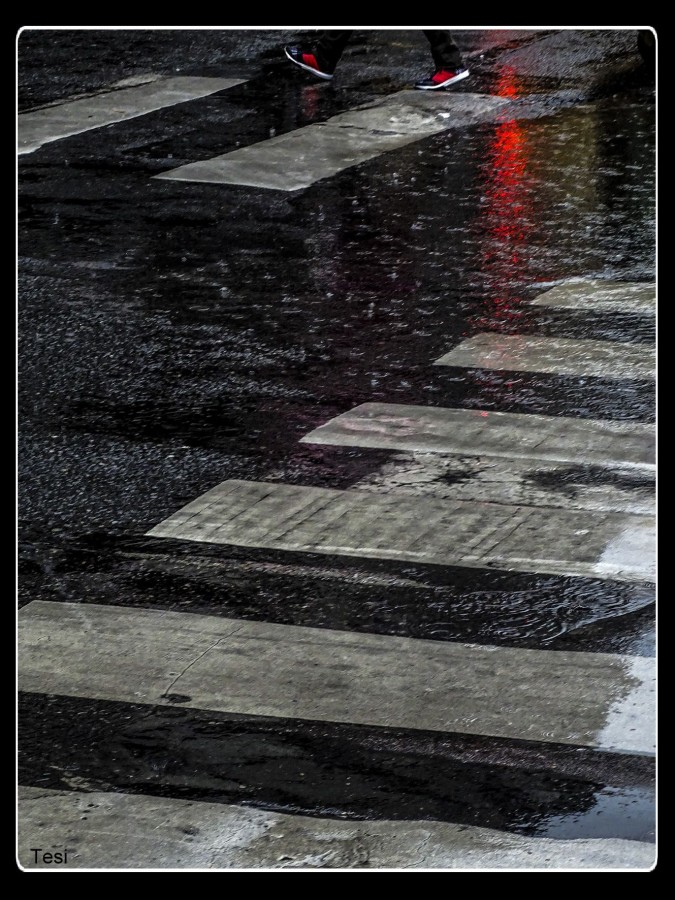 "Llueve en la ciudad." de Tesi Salado