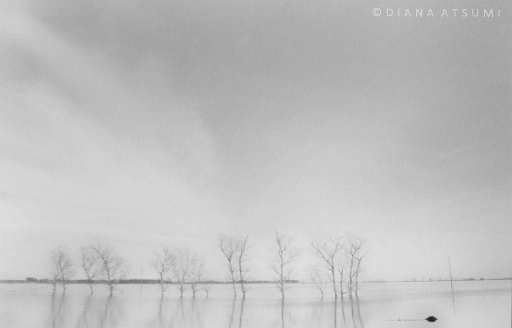 "Inundada" de Diana Atsumi