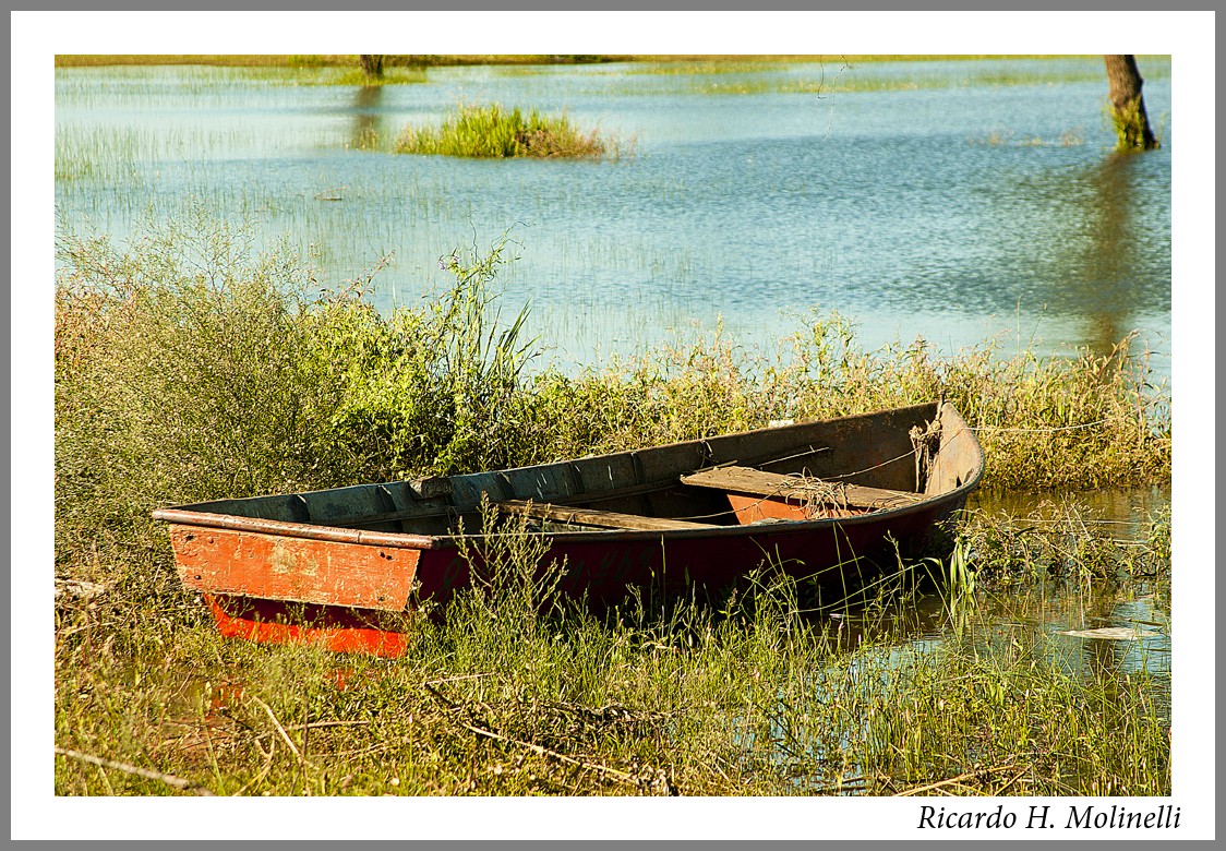 "La barca del pobre pescador de ro" de Ricardo H. Molinelli