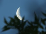 Acunando la luna creciente otoal