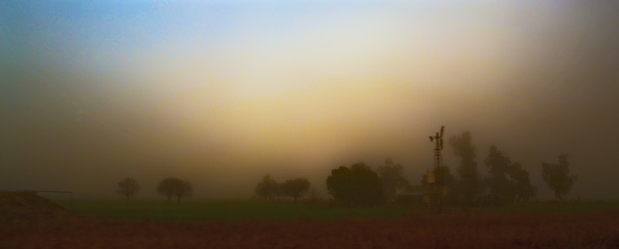 "Maanita con niebla" de Mercedes Pasini