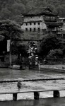 Fenghuang bajo lluvia