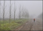 Neblinosa jornada