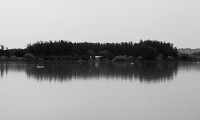 Silencio en la Laguna