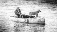 El hombre, la canoa y los perros