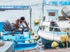 Puerto de pescadores en Puerto Ayora (Galpagos)