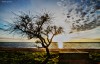 Sale el sol en la costa de Olivos