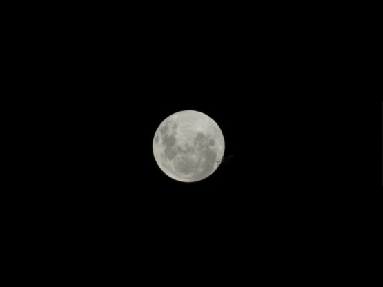 Foto 1/Eclipse de luna (hoy)