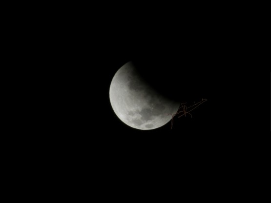 Foto 2/Eclipse de luna (hoy)
