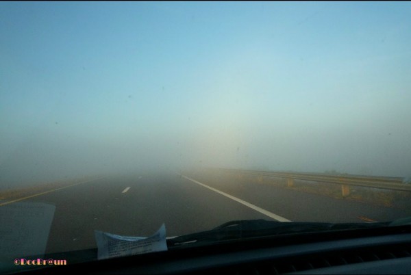 Foto 3/Niebla en la ruta.Qu peligro!