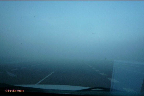Foto 4/Niebla en la ruta.Qu peligro!