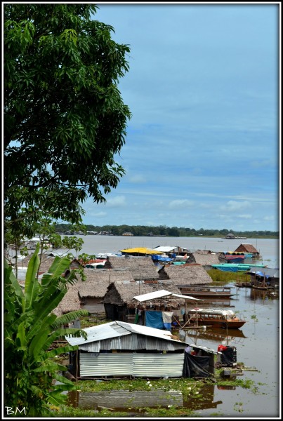 Foto 3/Costanera del Amazonas, Iquitos Per