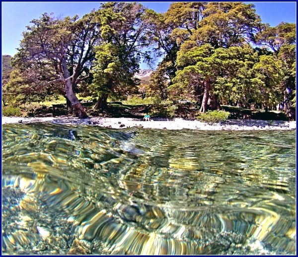 Foto 2/Lago Huechulafquen - Neuquen - Patagonia Argentina