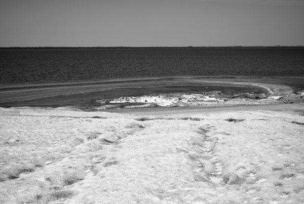 Foto 1/Entre el agua y la sal