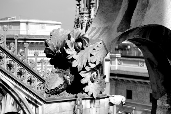 Foto 5/Recorriendo la terraza del Duomo