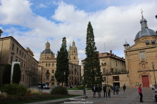 Foto 2/Salamanca, la ciudad universitaria