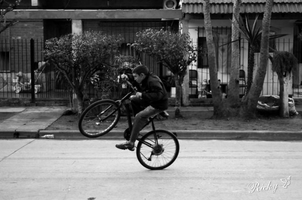 Foto 4/Los Bici Voladores