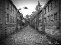 Auschwitz o la fbrica de la muerte