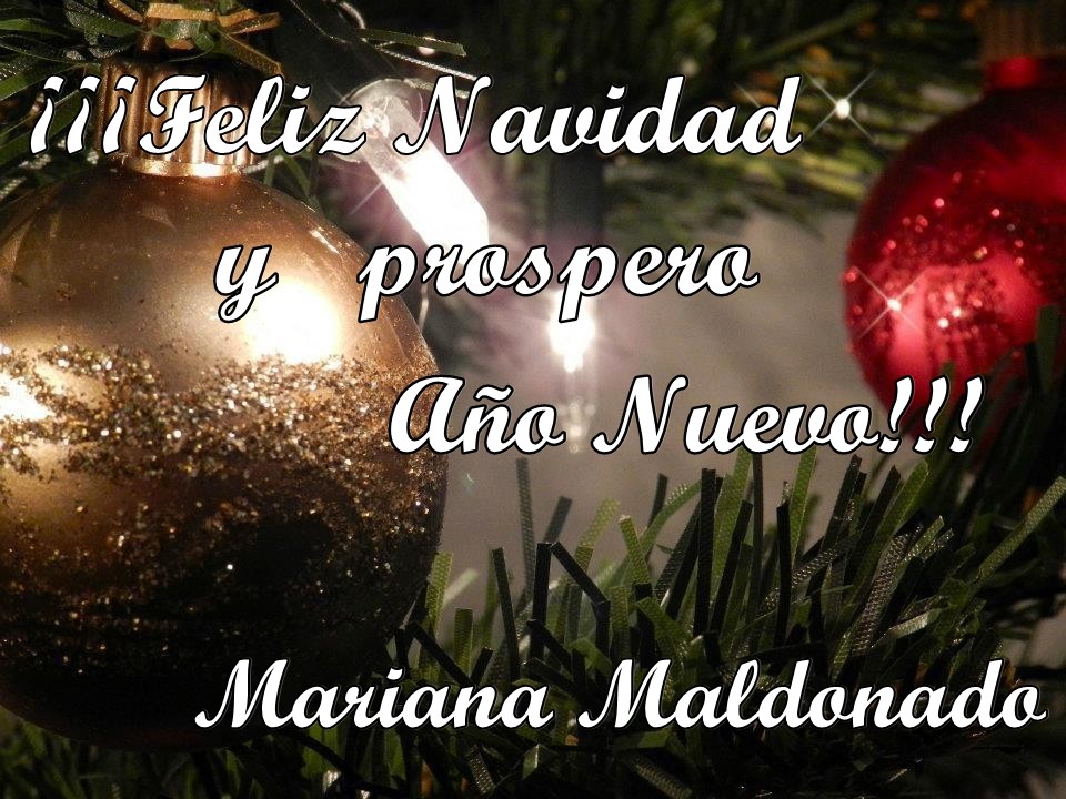 "Felices Fiestas!" de Mariana Nuez Fotografias