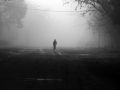 Niebla, de la serie Vias Muertas