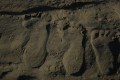 Pies de arena
