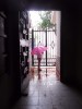 Mi paraguas rosado