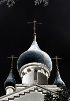 Ortodoxa Saavedra