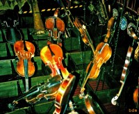 violinistas