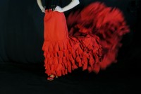 `Pasin flamenca`