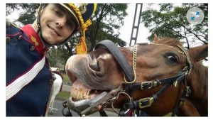 La divertida selfie de un granadero con su caballo
