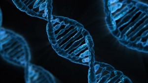 Hasta el ADN puede infectar un ordenador con virus
