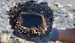 Una cámara perdida en el mar reaparece 2 años y medio después tras recorrer 250 km