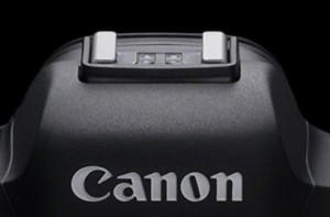 Estos son los planes de Canon para sus EOS R en 2020 y 2021, según los últimos rumores