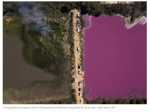 La foto que ayud a salvar una laguna en Paraguay